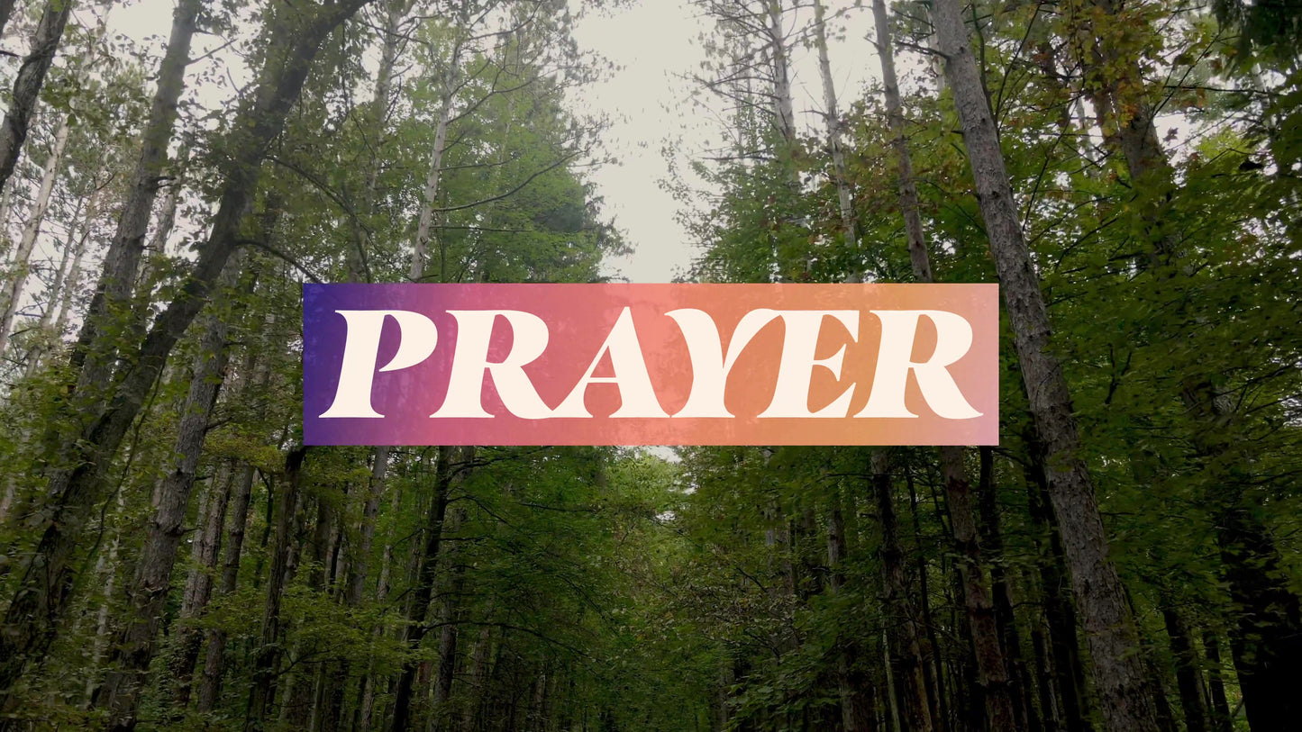 The Forest Prayer