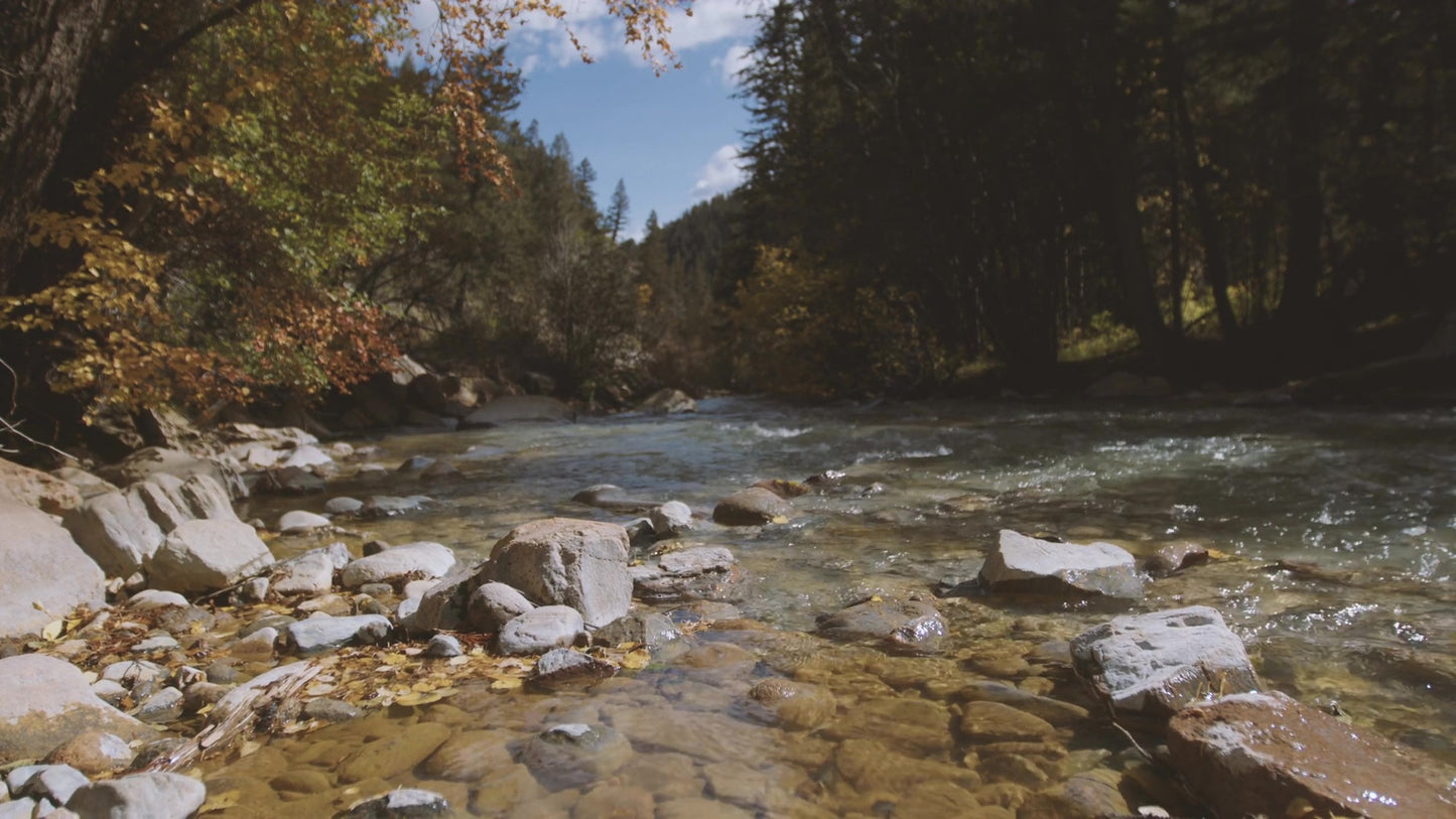 Mountain Hike Welcome Still