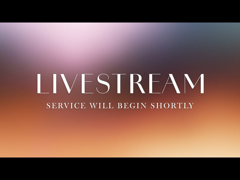 Early Light Livestream