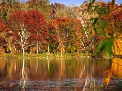 Fall Footage Autumn Lake