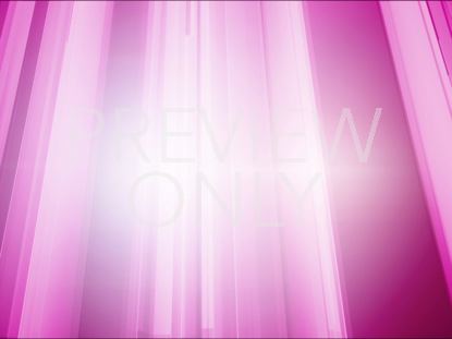 Pink Rays Still
