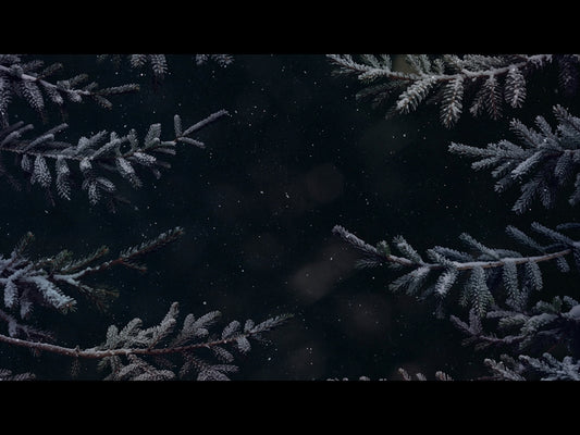 Christmas Wintertide 7