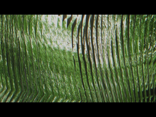 Force Of Nature Loop 05