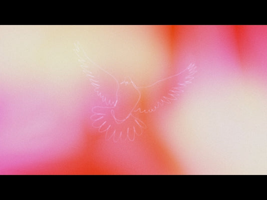 Soaring Loop 04