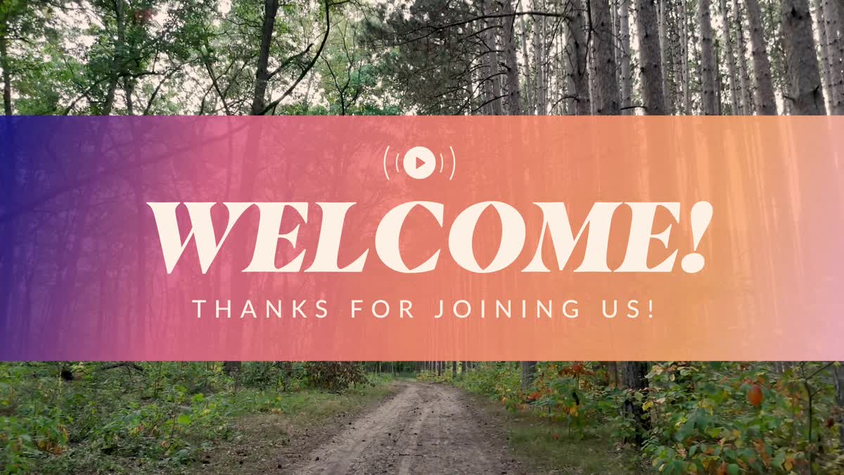 The Forest Welcome Stream Still