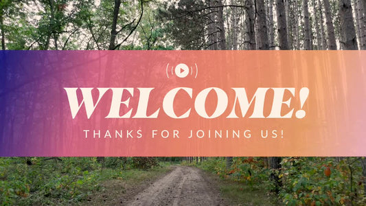 The Forest Welcome Stream Still