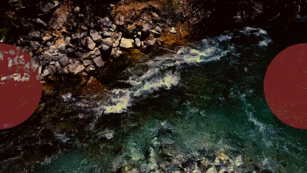 Vintage Lake 7