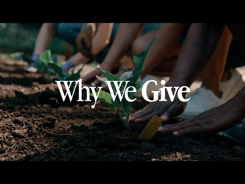 Why We Give