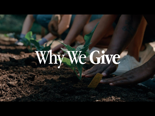 Why We Give