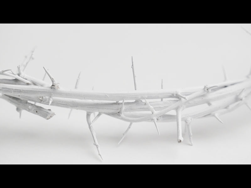 Crown Of Thorns White 17