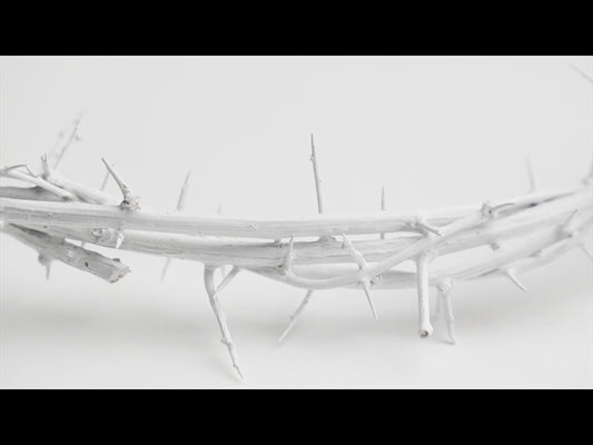 Crown Of Thorns White 17