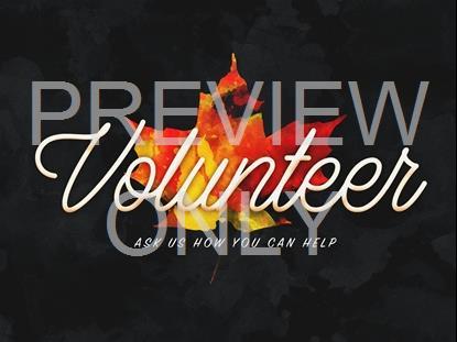Painted Leaves Volunteer