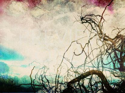 Roots White