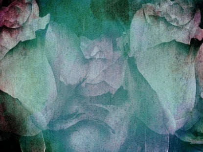 Mothers Day Roses 2 Motion