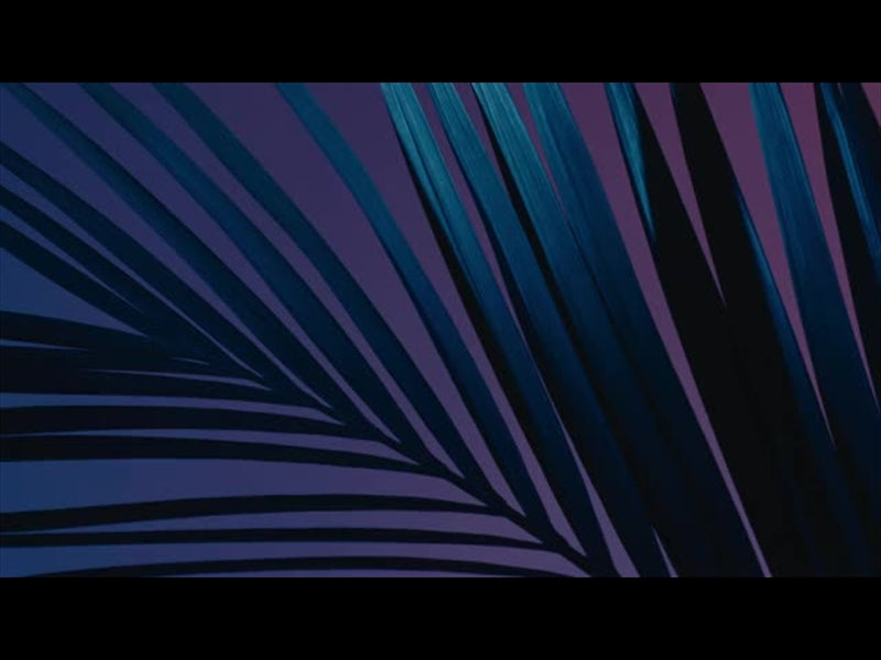 Cinematic Palms Loop 4