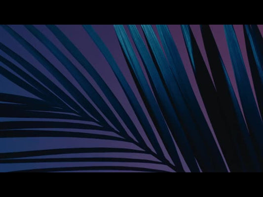 Cinematic Palms Loop 4
