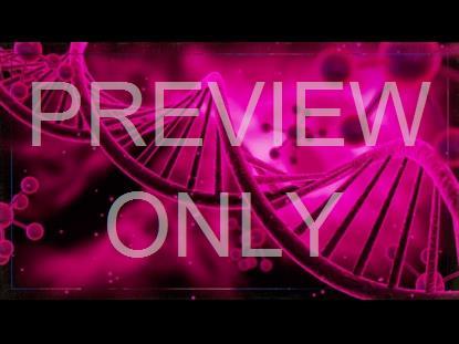 Dna Teaching Still 2