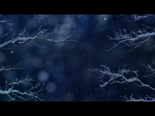 Christmas Wintertide 8