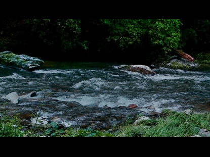River Wild 10