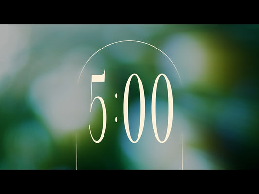 Forest Light Countdown 01