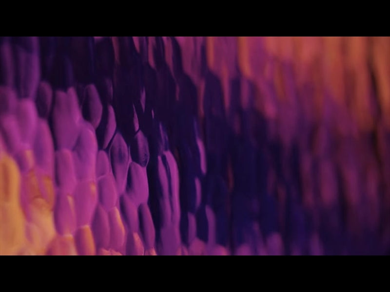 Lucent Orange Pink