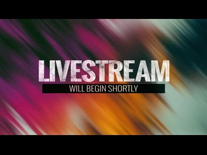 In The Fall Livestream