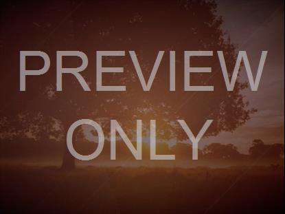 Brand New Day Still 3