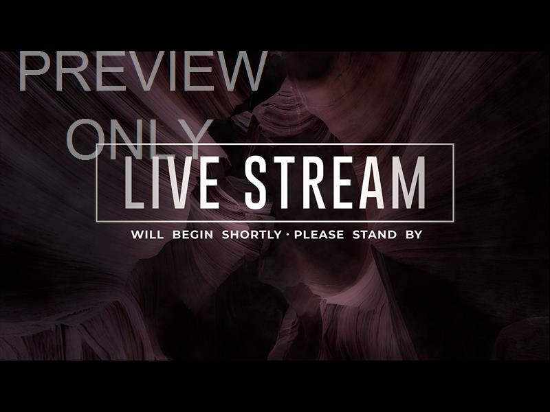 Canyon Live Stream Still