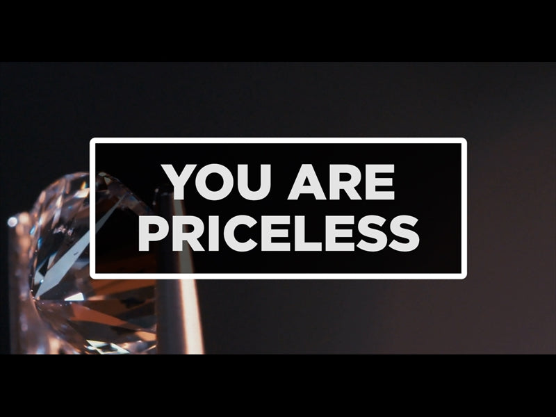 You Are Priceless