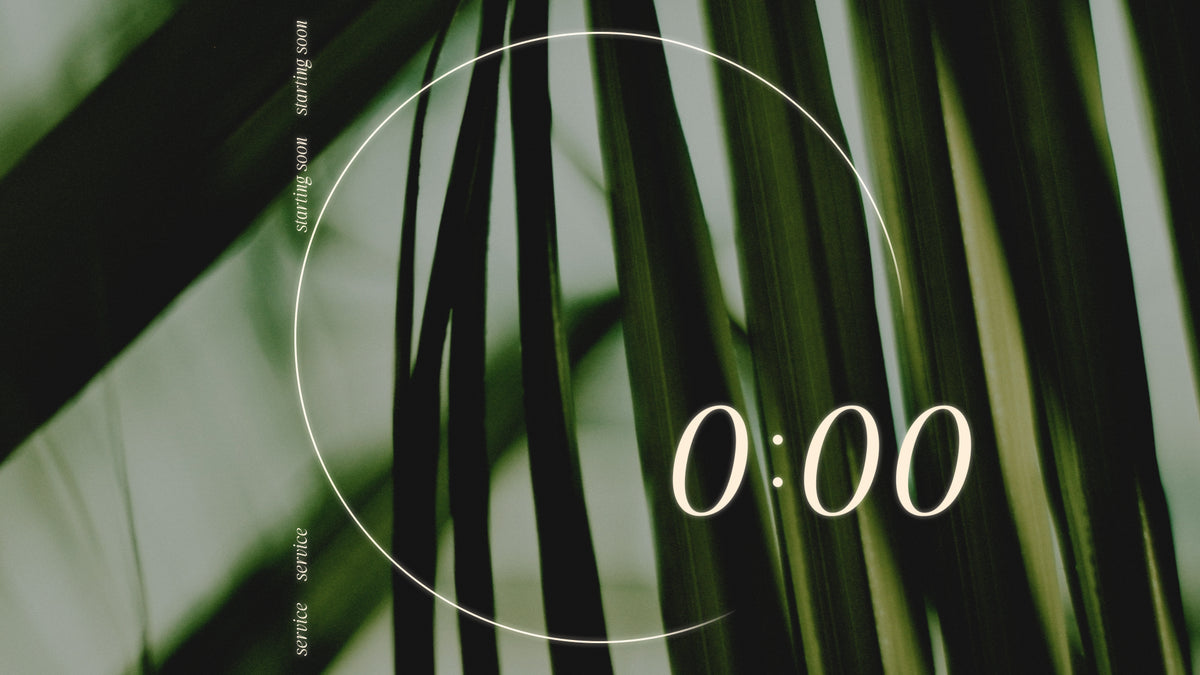 Triumph Countdown 03