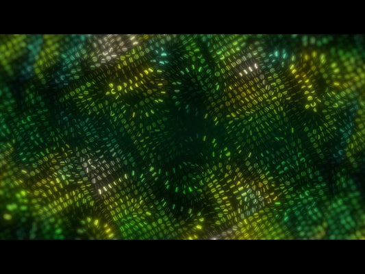 Colorlux Led 16