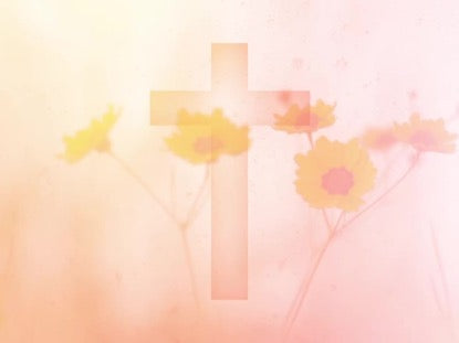 High Fashion Nature 6 With Cross