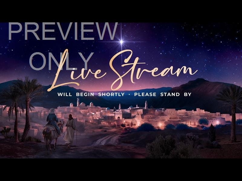Christmas Journey Live Stream Still