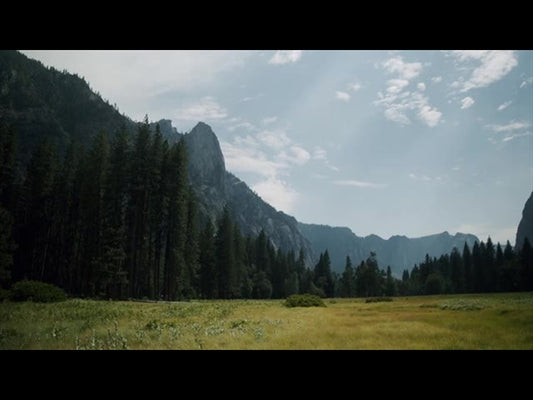 Yosemite Meadows Motion - 13