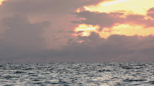 Spring Nature Motion 10