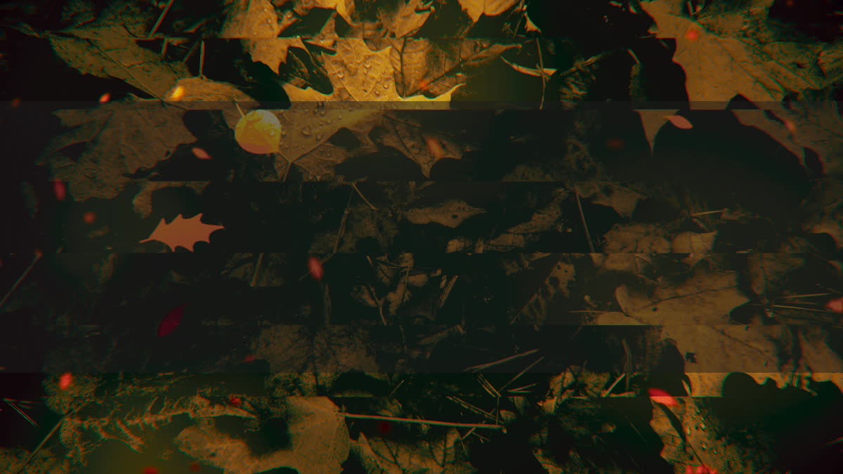 Autumn Memories 4 Alt
