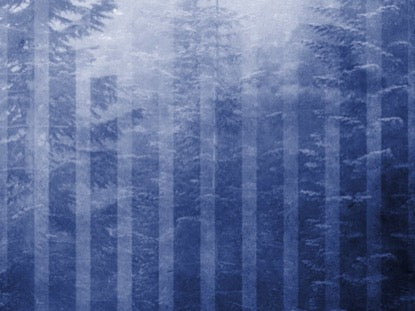 Calming Nature Blue 5 Motion