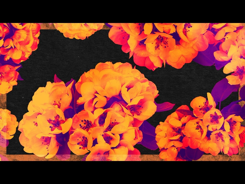 Bold Blooms Loop 02