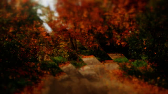 Autumns End 10