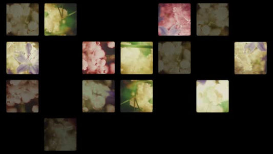 Bloom Again 08