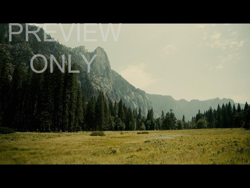 Yosemite Meadows Still - 06