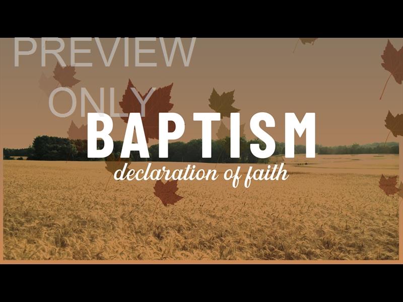 Harvest Baptism Still