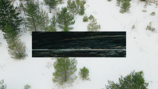 Winter Woods Blank Title 01