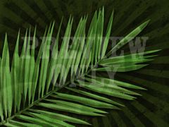 Palm Branch