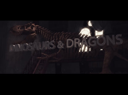 Dinosaurs And  Dragons
