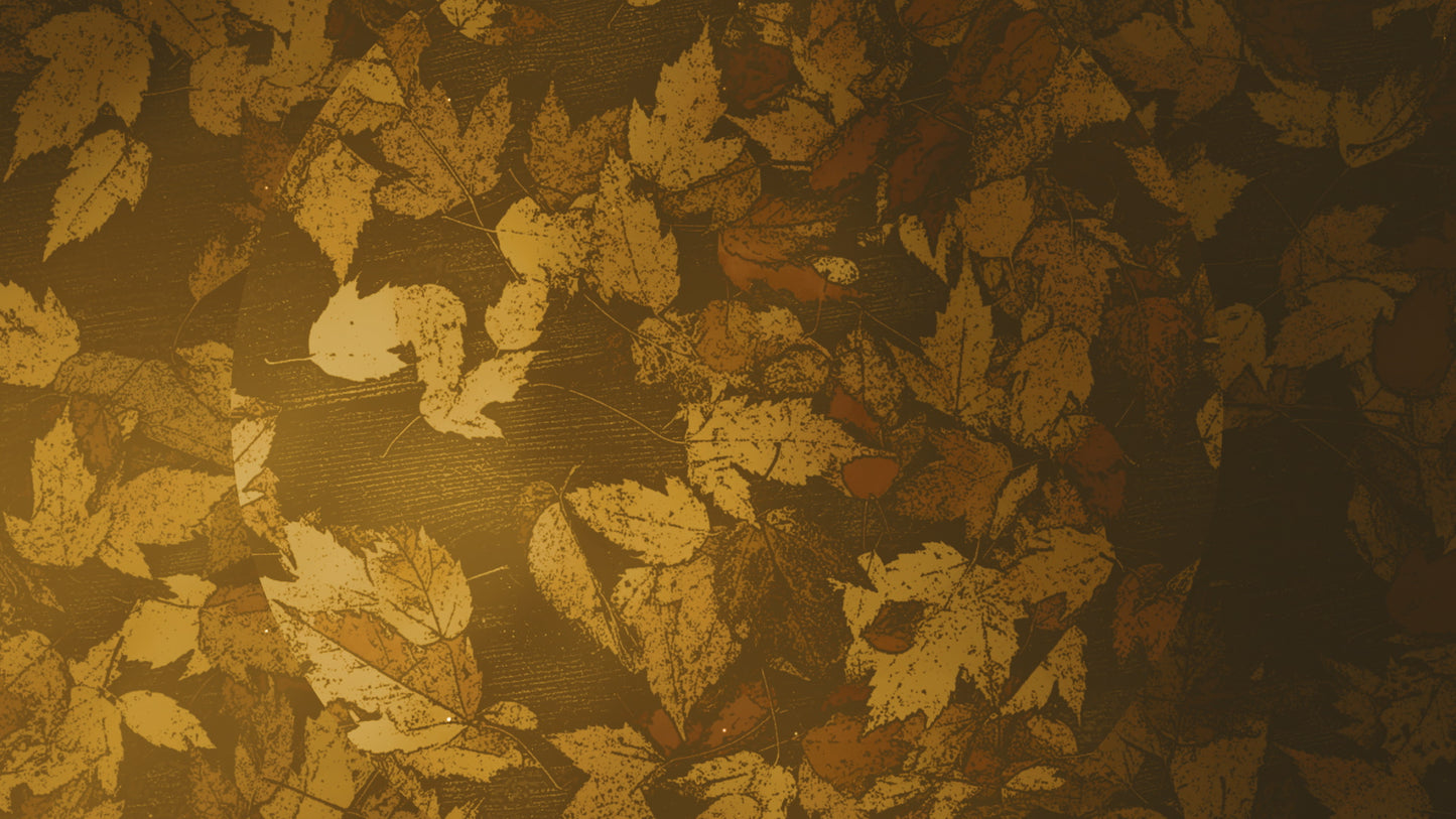 Peaceful Autumn 09 Still