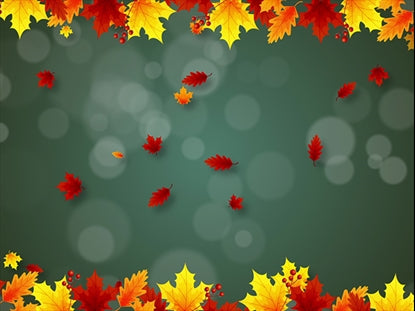Fall 6 Motion Vol6