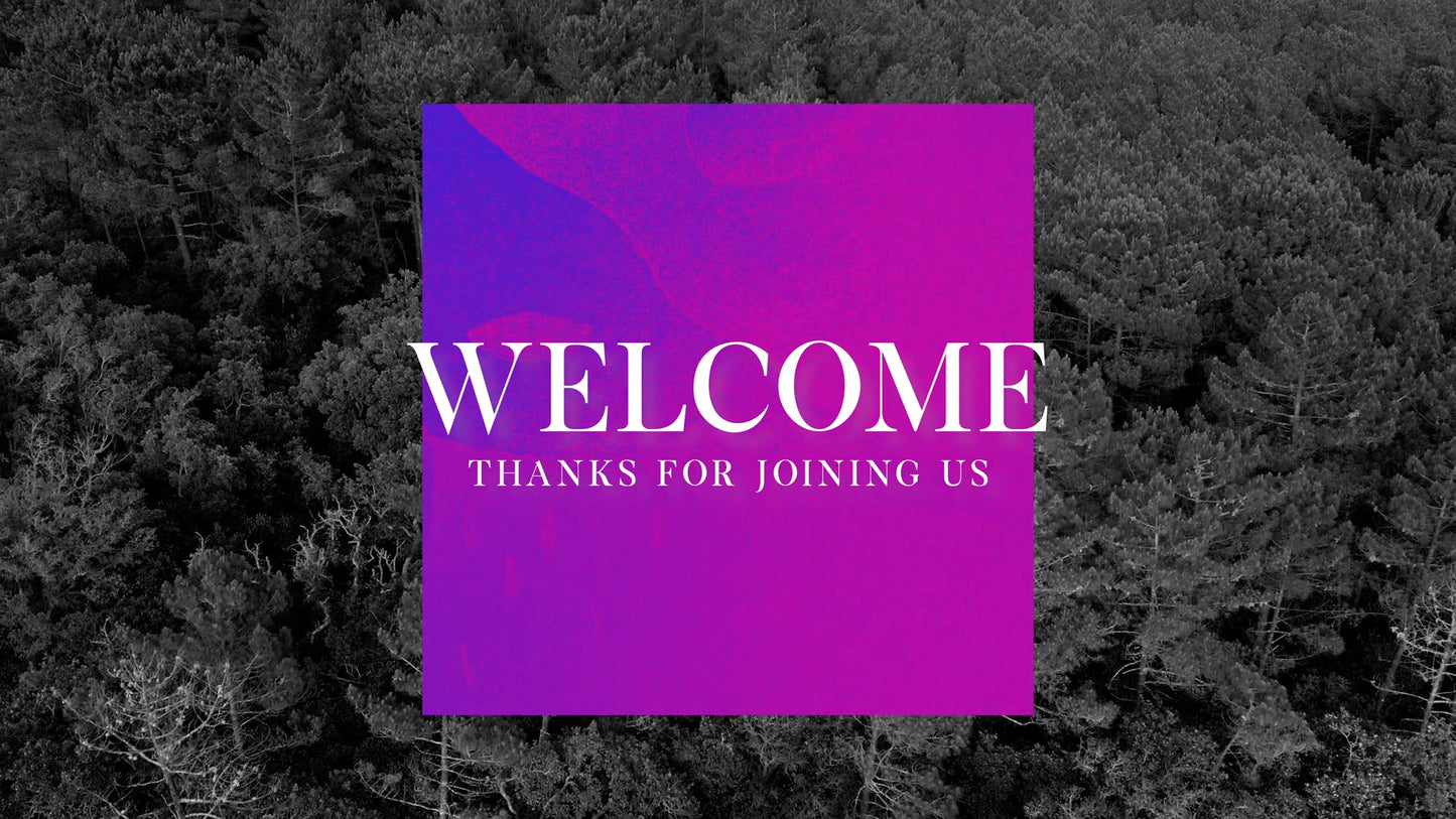 Vibrant  Welcome