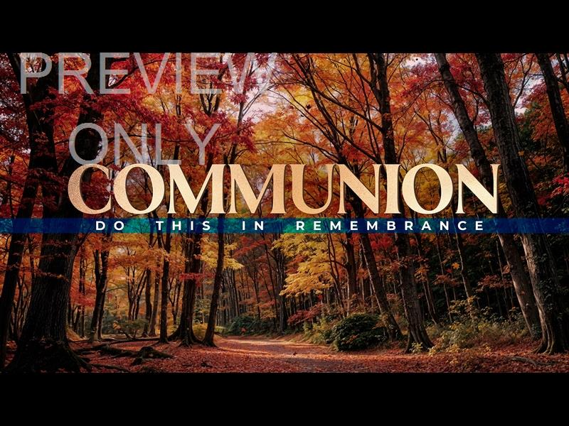 Forest Fall Communion Still – WorshipHouse Media