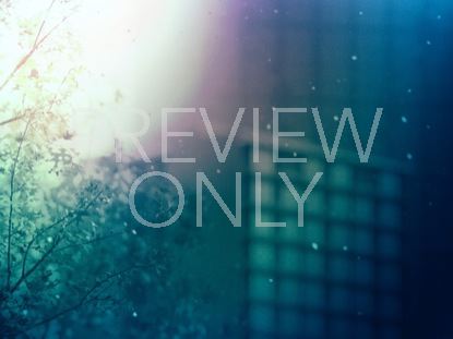 City Blossoms Blue-still